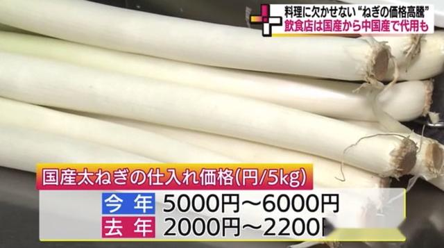 美食教程|今后你在日本吃的日料，說不定還是“家鄉的味道”？