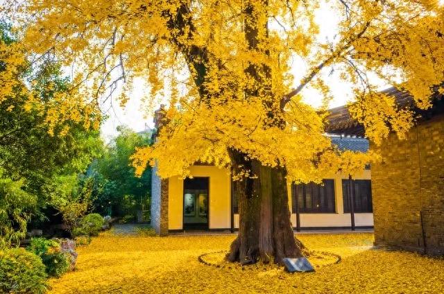 |“要想壮,多吃肉”,天冷建议大家:多吃3种肉,低脂营养不怕胖