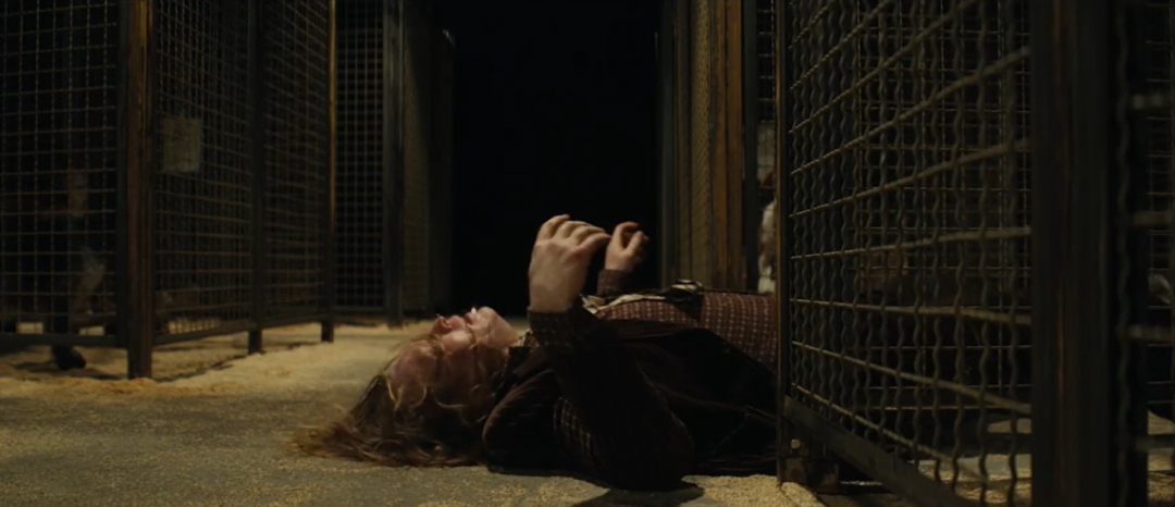 能在内地院线上映,这部年度最佳太猛了