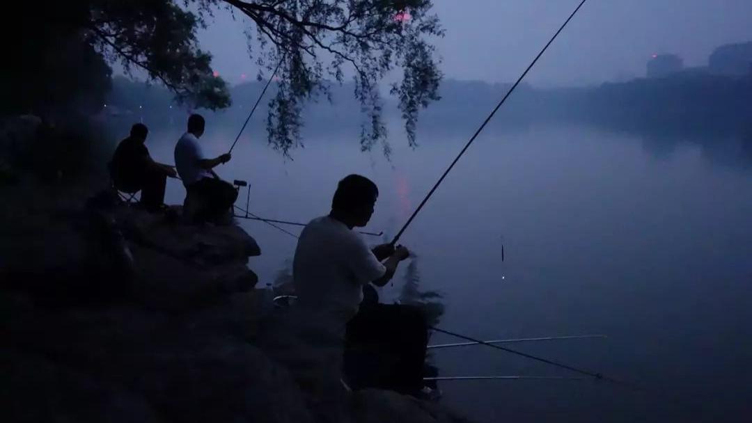 |夏季夜钓，不可错过的5大技巧，助你渔获倍增