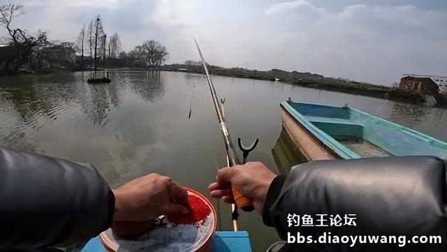 鲫鱼|今晚吃鱼酒米做窝,果然“不差鱼”