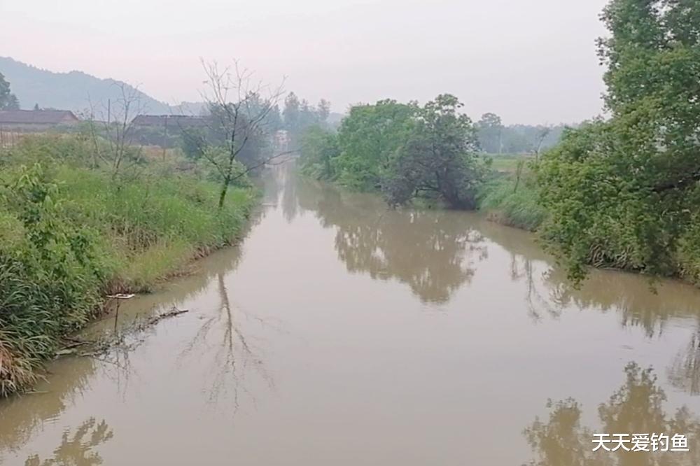 暴雨|夏季钓鱼，3种天气大鱼在浅水，钓深不如钓边