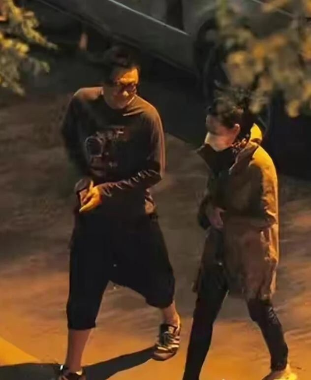 刘若英|53岁刘若英,模样大变