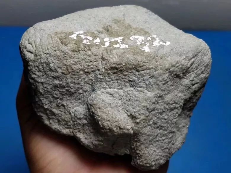 老物件|500克的翡翠原石，切高冰飘花翡翠