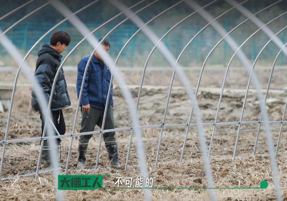 |过气爱豆下乡种地？爱奇艺很会整活，观众天天催更，综艺界的清流