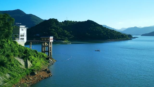 鲤鱼|春季水库作钓鲤鱼，饵料和窝料怎么选？