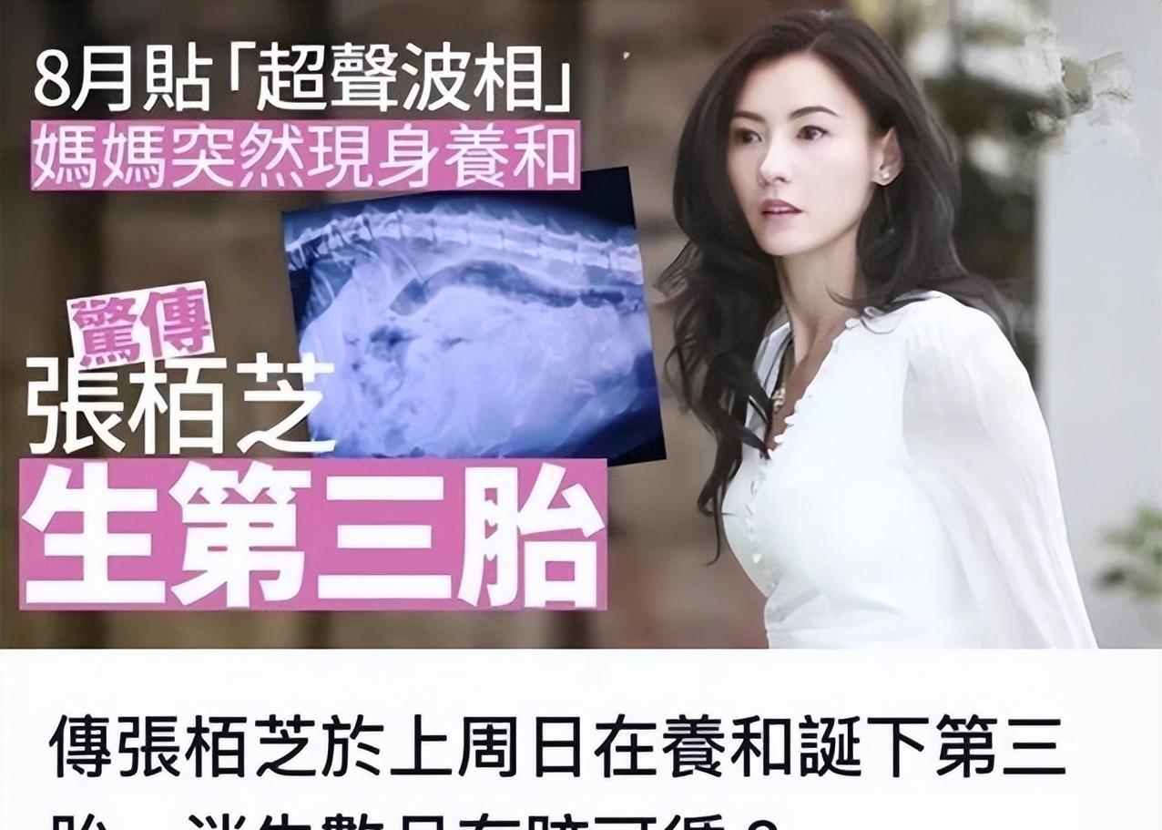 他被称“内地的向华强”，追求过李小冉，如今成了张柏芝新男友