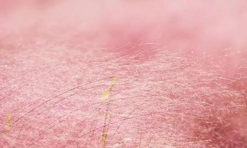 运势|猫巫先生十二星座周运2023年4.3-4.9: 机遇与陷阱并存