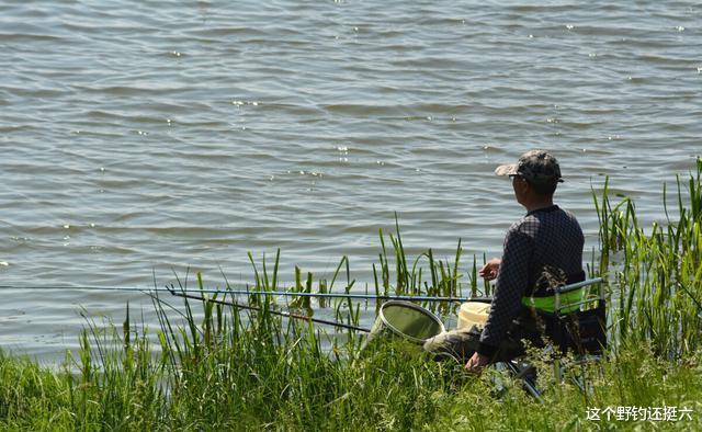 水底奥秘|钓点选在哪鲫鱼钓得多?立夏后钓鱼干货:渔获不理想要尽量少钓草