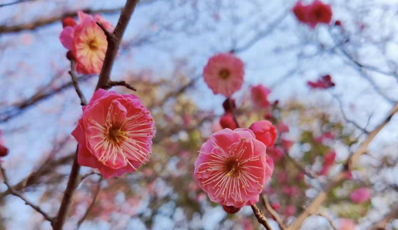 杭州|领导赶你走的十大手段