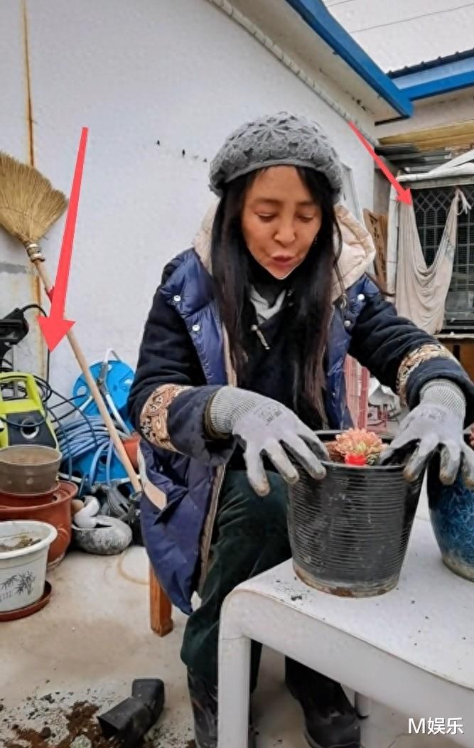 一嫁日本、二嫁美国, 三嫁法国, 演员李勤勤为啥只嫁外国老公?