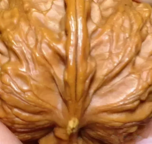 文玩核桃|文玩核桃出现“黄”怎么办,别急,有办法