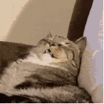 离婚|女人专心搞事业就注定没人爱,有实锤!