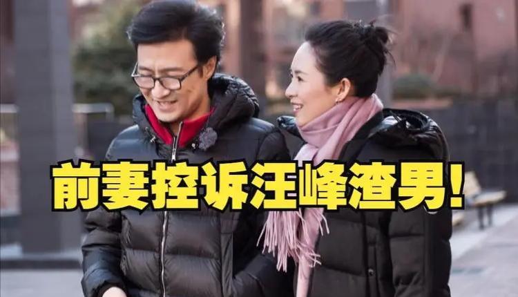 汪峰|“夫妻本是同林鸟”,很抱歉,章子怡救不了汪峰