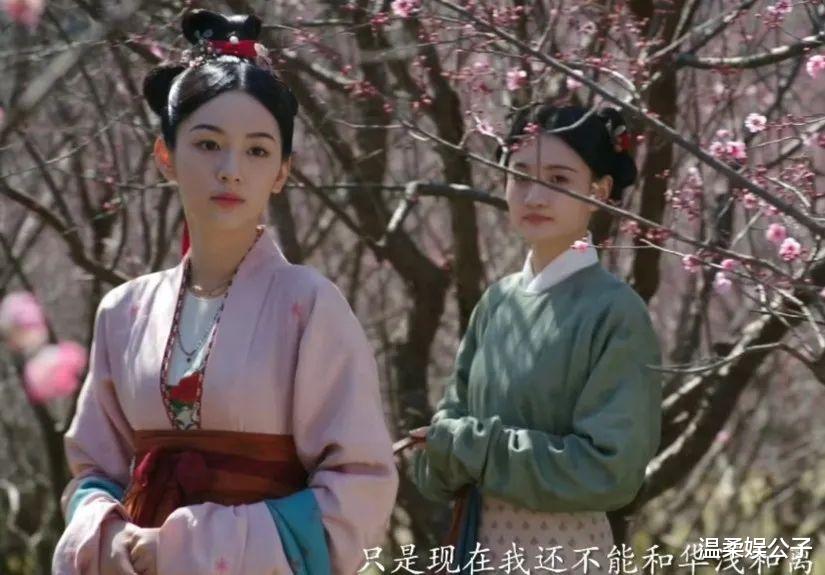 《为有暗香来》:我终于知道为啥小侍卫是官配,却只是男三的番位