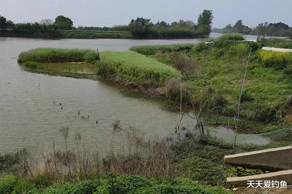 |夏季天热,大鱼在这些地方避暑,找准了位置轻松连竿