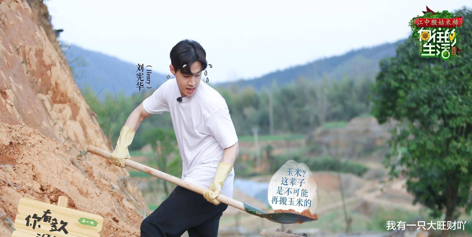 浩室舞|《向往的生活》时隔五年大华重回蘑菇屋,两位空巢老人盼回大儿砸