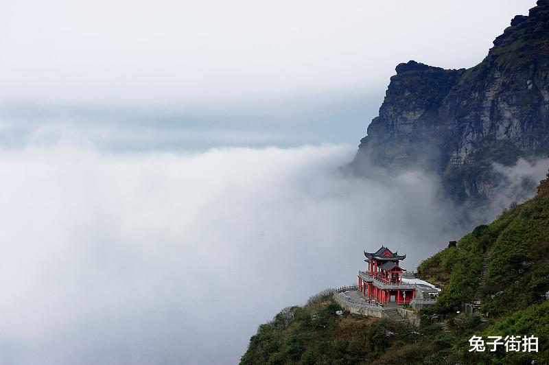 梵净山|探秘梵净山：云端之上的自然奇观
