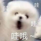 联美不是公主