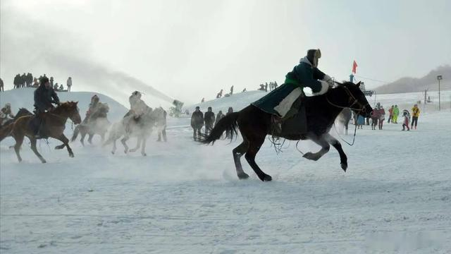 马肉|马肉鲜美,全球每年有470万匹马被屠宰,国人为什么很少吃马肉?