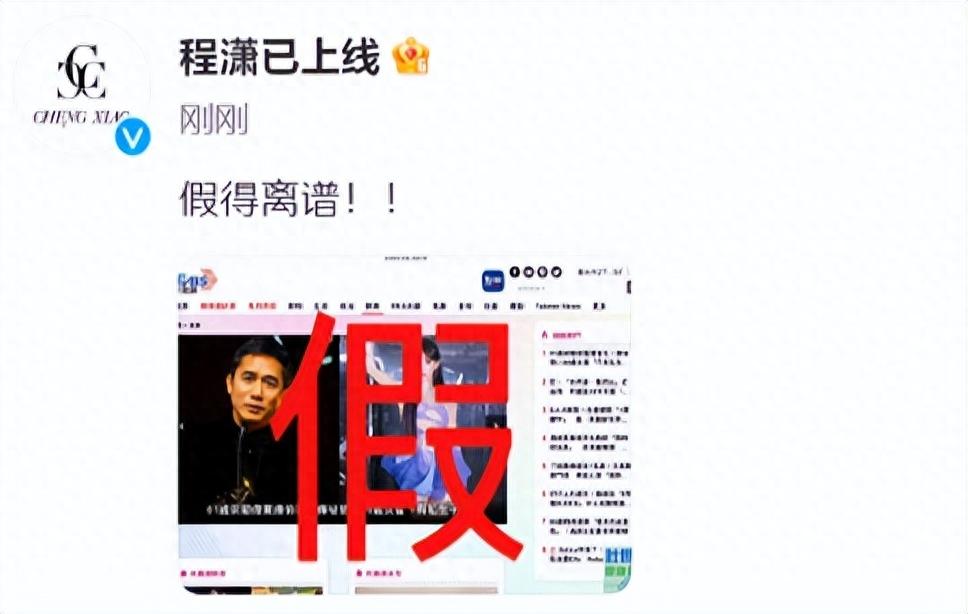 曝梁朝伟疑出轨小36岁程潇，在日本生下私生子，刘嘉玲要哭了