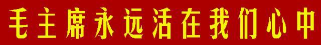 |中了书的毒