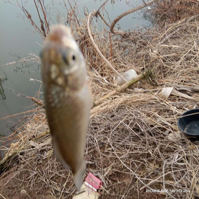 |鱼儿正在向我们招手,你做好准备了吗?