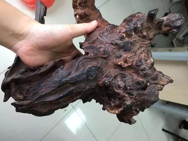 文玩|买回烤焦的“羊腿”,现场切开一看倒乐了