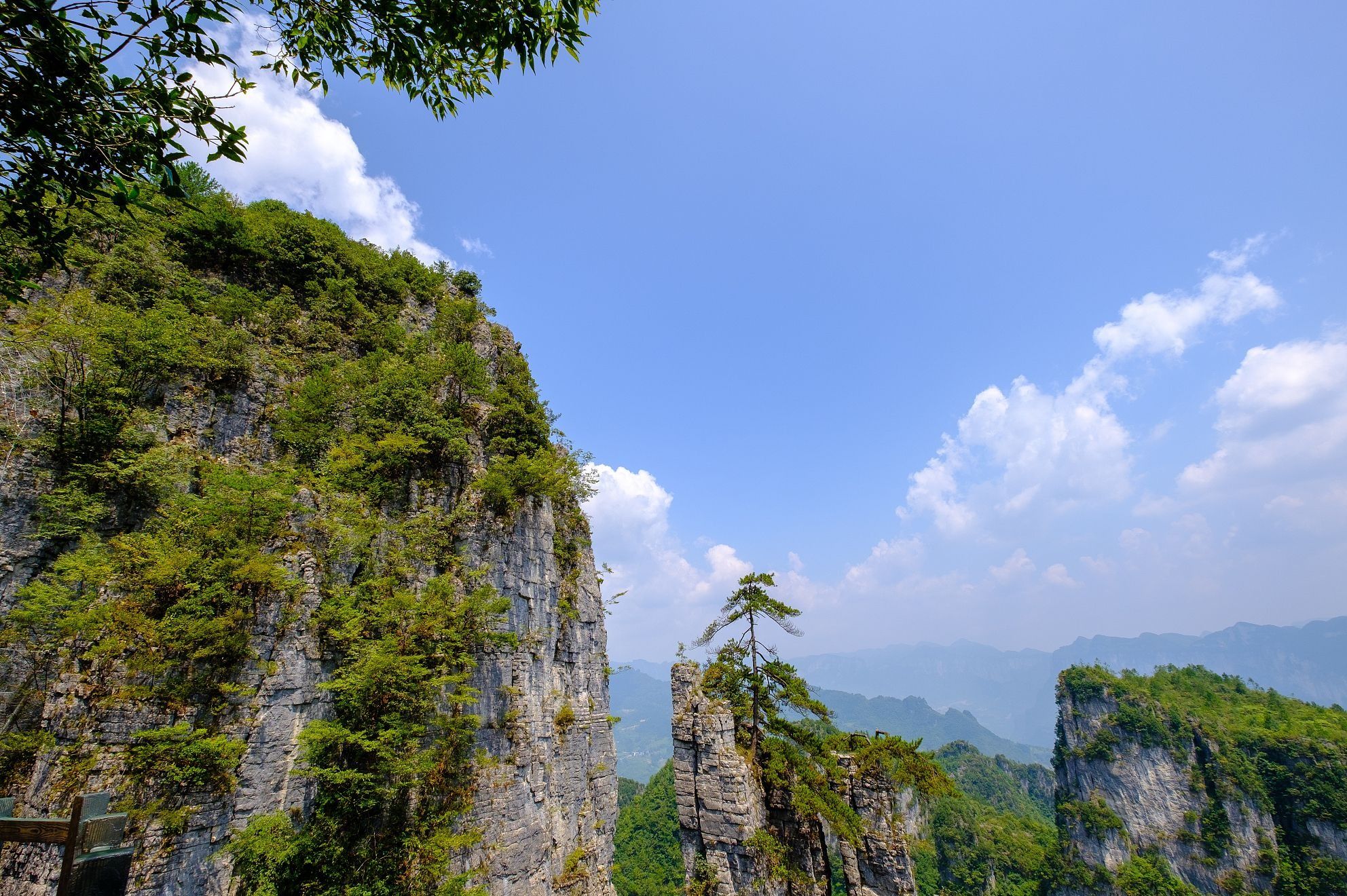 金佛山|游玩推荐之重庆金佛山景区