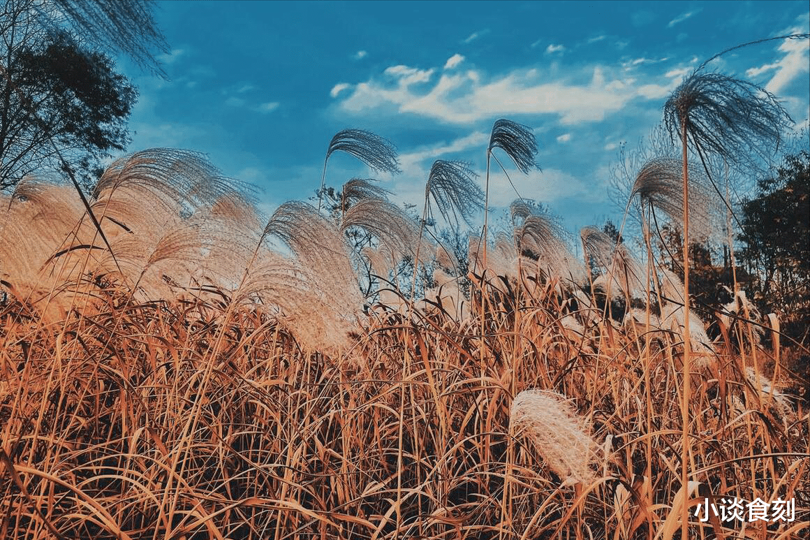 |“十三不防風(fēng)，百病來得兇”，九月十三啥日子？為啥要防風(fēng)邪？