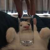 小余贩机说