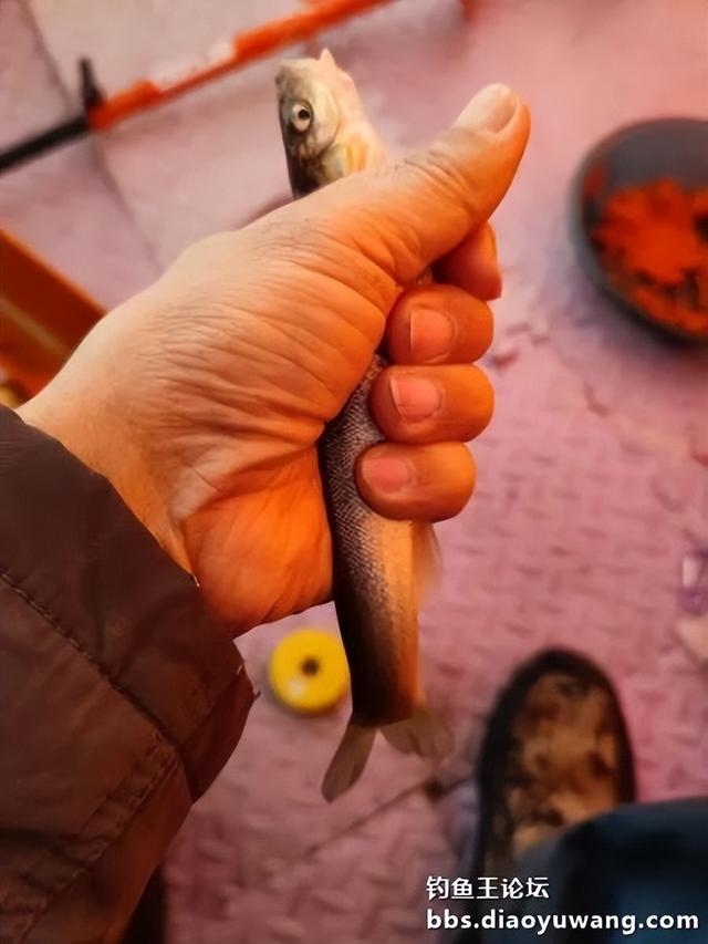 野钓钓出黑坑的感觉
