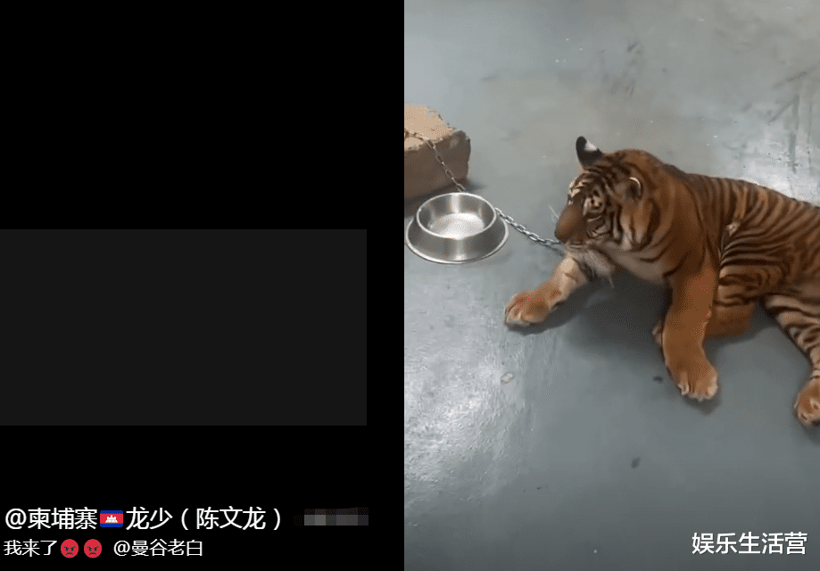 健康饮食 机车网红被卖柬埔寨，3个月发福160斤，晒素颜照实锤是四面佛小蜜