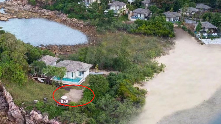 阚清子|窦骁2.0？阚清子男友承包小岛，行李一车装不下，亲操求婚现场