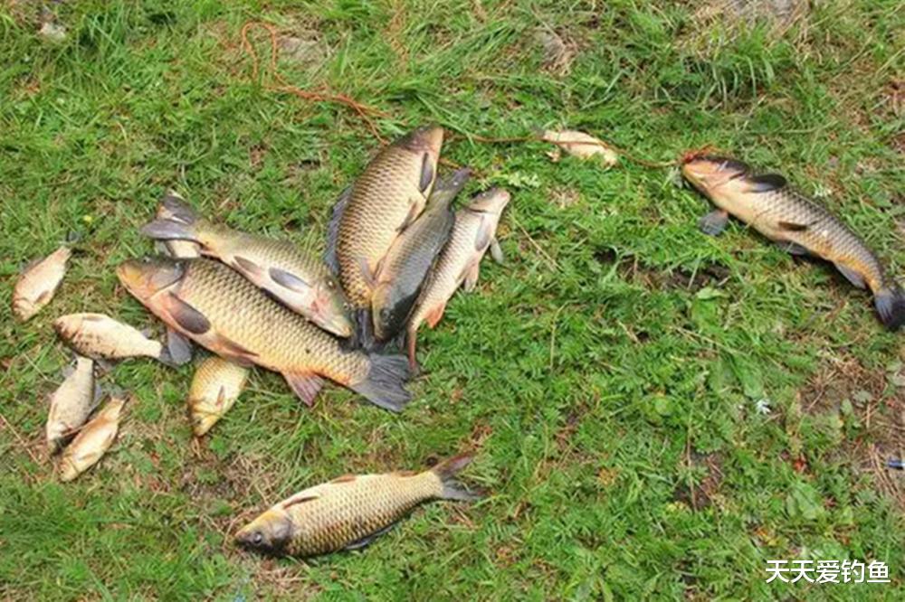 钓鱼技巧：漂脚之上裹铅皮，上鱼效率提升10倍