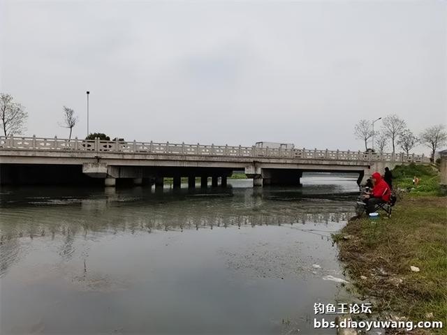 鲫鱼|带钓鱼王访友,一盆放流一碗带走