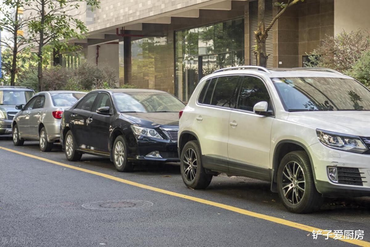 私家车|小两口晒出买车后,家里伙食大变样,网友:太真实了,深有同感