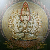 资深小胖君
