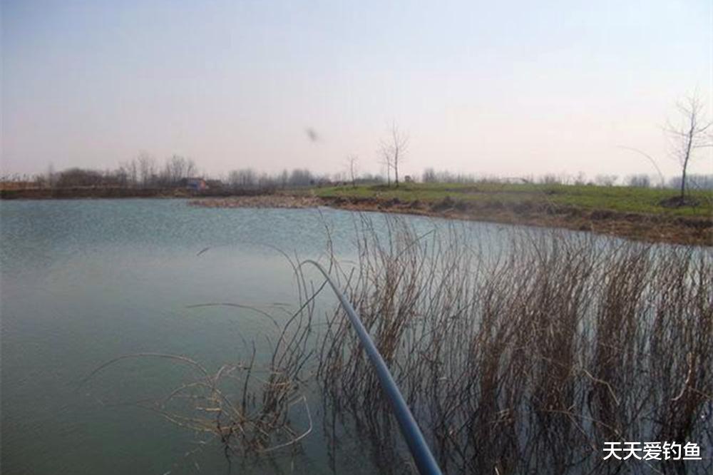寒冬鲫鱼藏得深，找这4种深水窝点，大鲫鱼一钓一个准