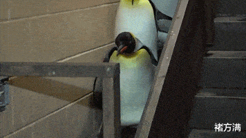 新型冠状肺炎|老婆打疫苗非要穿露肩连衣裙,戴着口罩就不怕丢脸了吗?