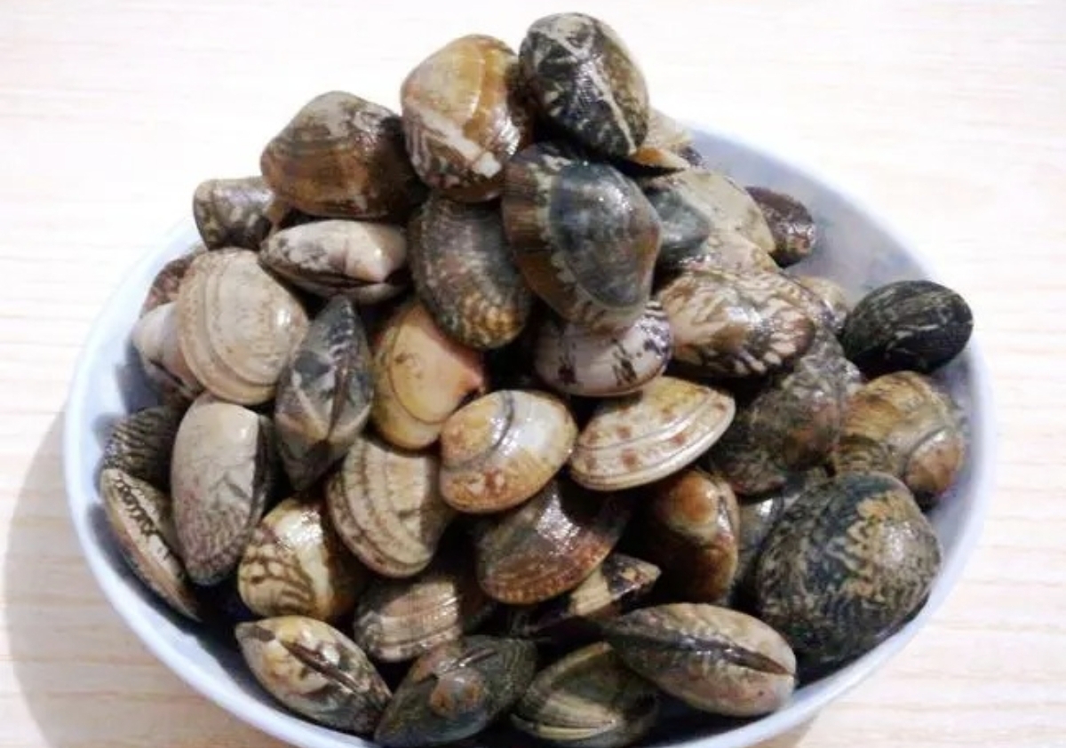 花甲|花甲切记千万别焯水，海边人教你正确做法，花甲鲜嫩又多汁