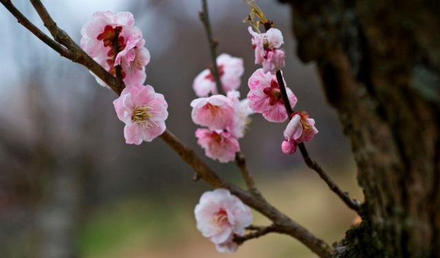 不管关系多好,同事对你做过以下事,是在“害”你