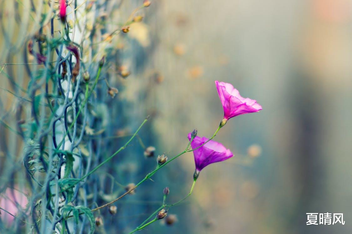 人民日报推荐：摆脱疲惫感的7个小办法