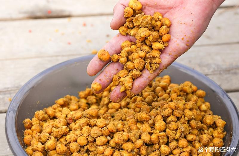 钓鲤鱼如何打好隔夜窝?针对远处鱼星鱼炸水,虚实结合诱鱼杠杠滴