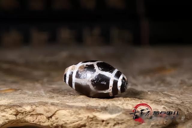 【馆藏为证】寿珠小叙