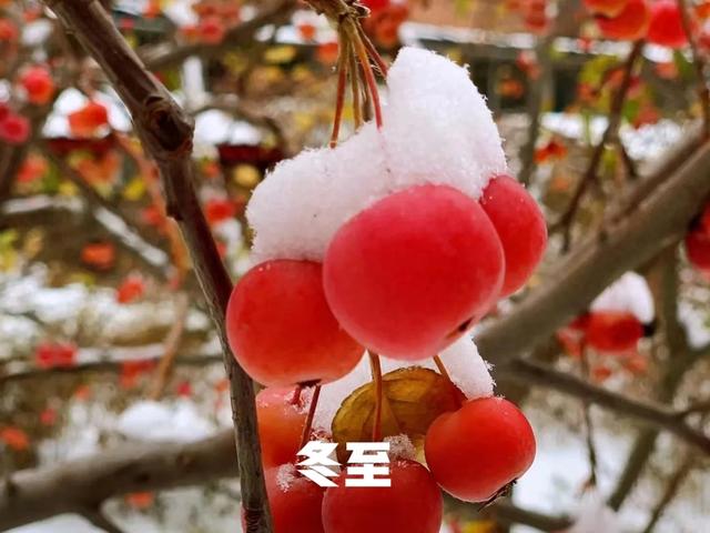 萝卜|包萝卜馅饺子，牢记“2放2不放”，放错了不香有怪味，别不当回事