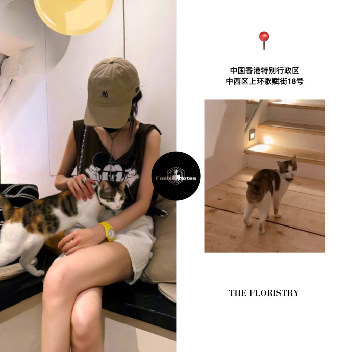 打破谣言!杨幂现身香港,积极争抚养权,挑战刘恺威的独立抚养权