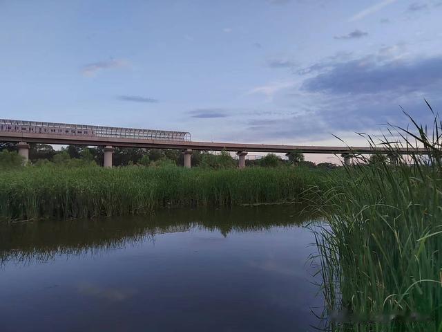 水库|钓鱼日记——2023年6月9日(沙河水库夜钓)