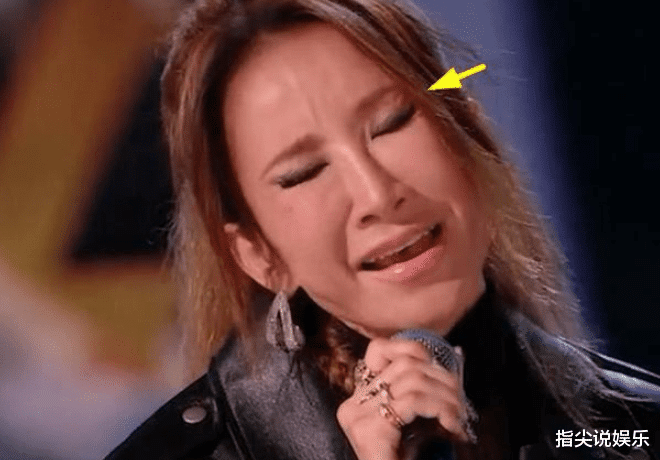 中国好声音|解气!《中国好声音》被停播,官方介入调查,评论区高人疑曝真相