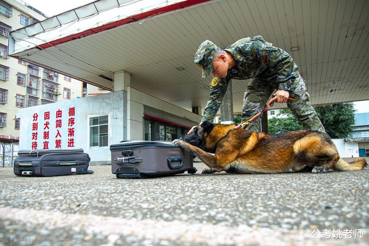 文职|2023军队文职第二批招录开始，无需笔试仅面试，待遇比公务员还好